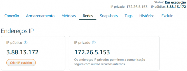 Tela de IPs na aba Redes da sua instância. 