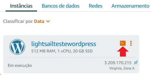 Acessando o terminal de comandos da sua instância.