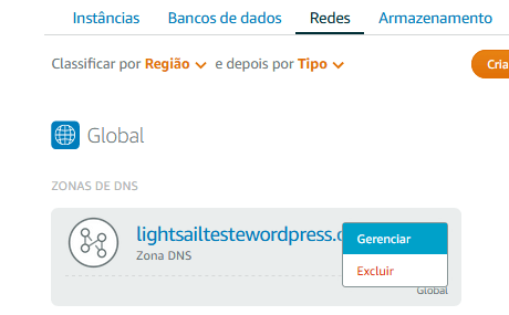 Acessar o gerenciador de configurações do DNS.