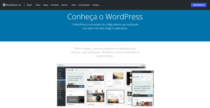 WordPress.org é o portal que disponibiliza o WordPress e contém diversos outros recursos, como temas, plugins e o fórum de suporte
