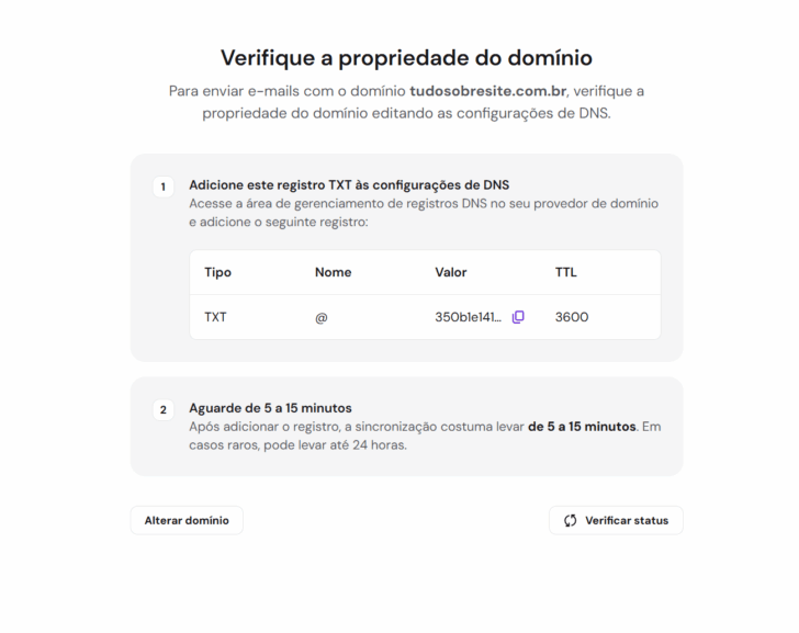 Exemplo de valor para ser inserido na zona de DNS de um domínio