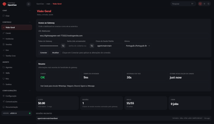 Visão geral do OpenClaw que acabou de ser configurado