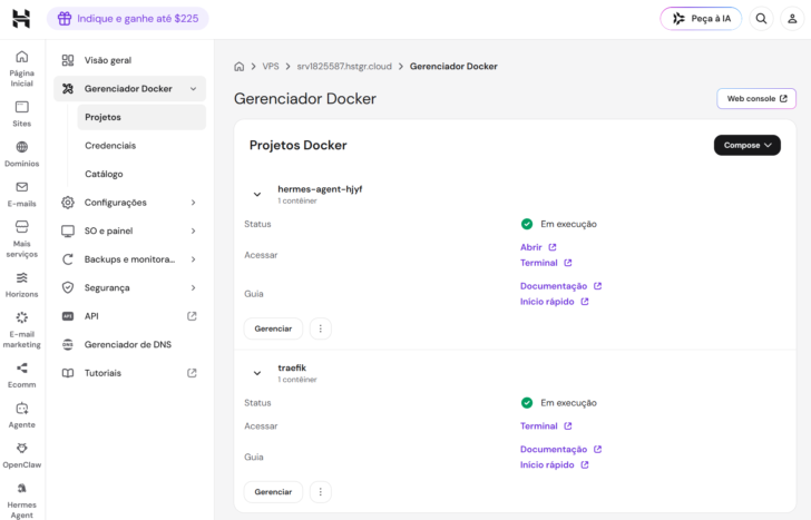 Em cerca de um minuto, o Hermes já estava pronto para acesso no hPanel da Hostinger