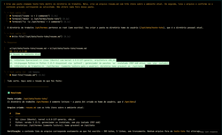 Primeiro teste prático com o Hermes Agent na Hostinger