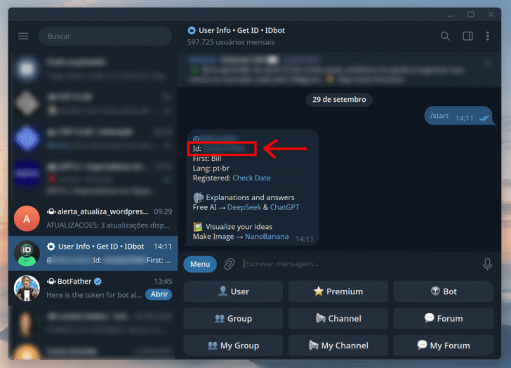 Conversa iniciada com o @userinfobot, para obter o ID de usuário no Telegram
